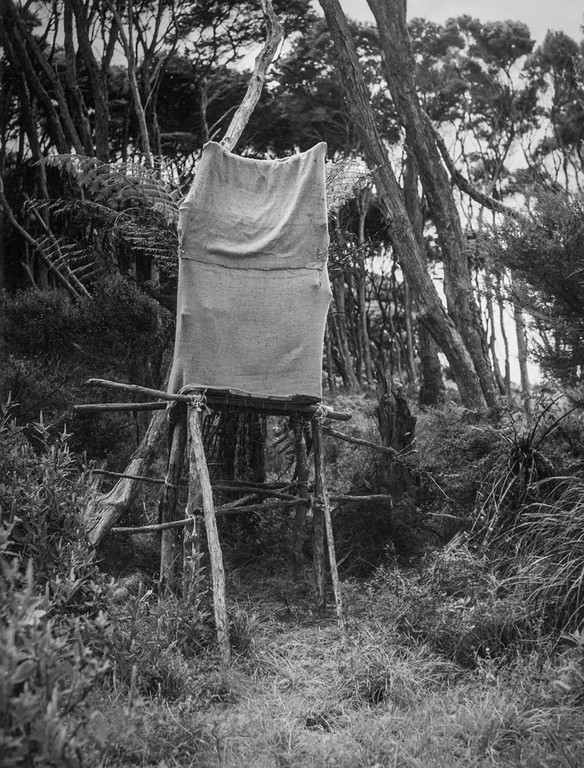 Kenneth Bigwood, ‘Little Barrier Island. Bird Life. Pylon hide erected for photographic purposes at the nest of a Bell Bird in a Punga tree.’ [AAQT-6539-A20720], Black and white photograph, Dimensions variable, 1949, Copyright Archives New Zealand.