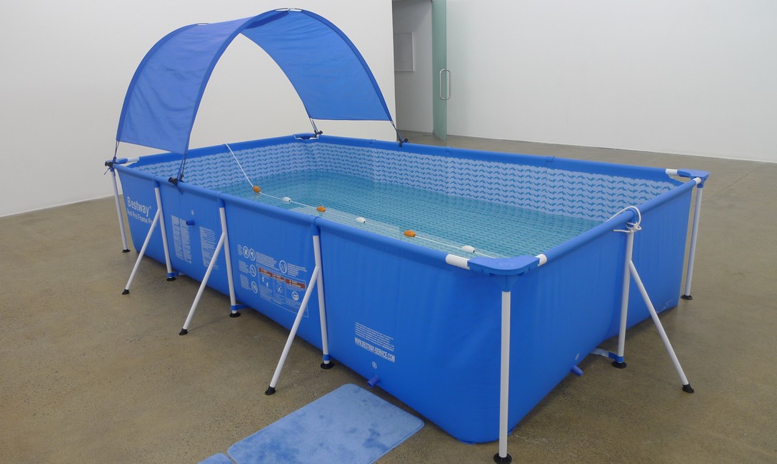 Daphne Simons and Mark O’Donnell, Lap Pool Contract, Artspace, 2012