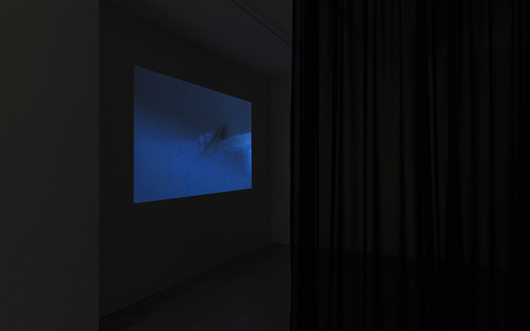 Selina Ershadi, The hands also look, 2020, HD digital video, sound design by Frances Duncan, 1:10:00, installation view. Image courtesy of Cheska Brown.