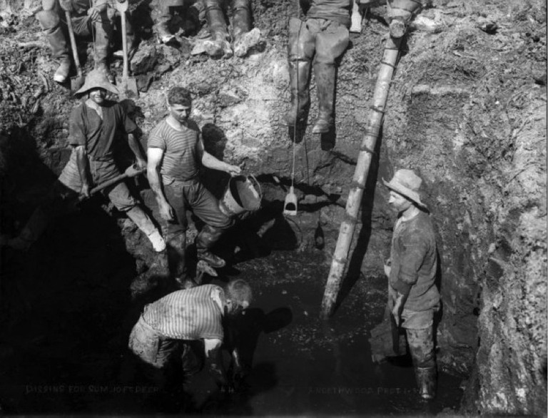 Northwood, Arthur James, 1880-1949. Digging for gum, Northland. Northwood brothers: Photographs of Northland. Ref: 1/1-011220-G. Alexander Turnbull Library, Wellington, New Zealand. http://natlib.govt.nz/records/22785375. Permission of the Alexander Turnbull Library, Wellington, New Zealand, must be obtained before any reuse of this image.