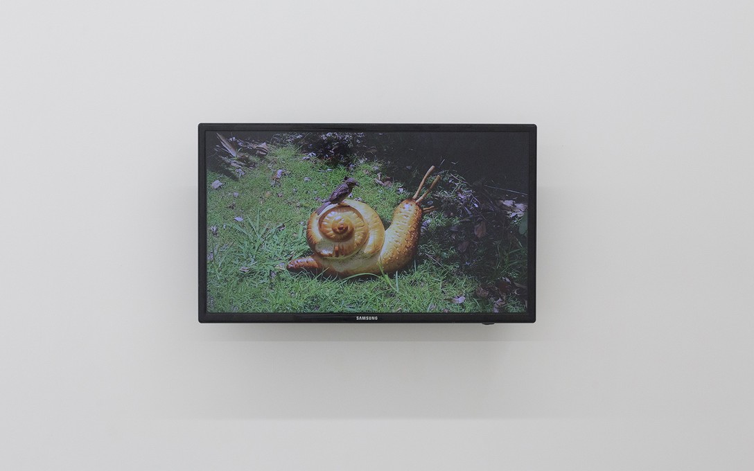Lucy Meyle, Loaf, 2020, digital video, 1:03:00. Image courtesy of Cheska Brown.