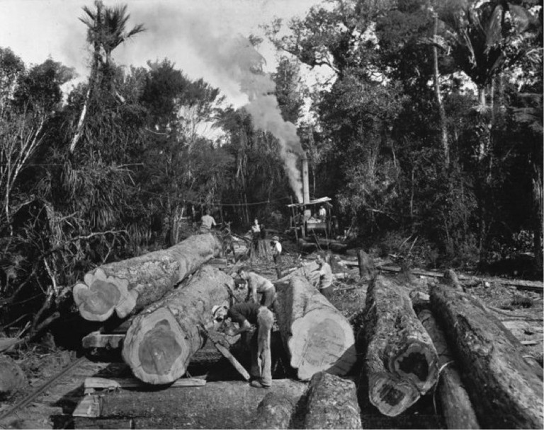 Northland bush scene, with kauri logs ready for transportation. Northwood album 4. Ref: PA1-q-180-044. Alexander Turnbull Library, Wellington, New Zealand. http://natlib.govt.nz/records/22766935. Permission of the Alexander Turnbull Library, Wellington, New Zealand, must be obtained before any reuse of this image.