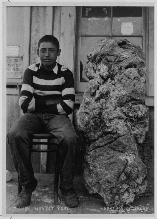 Boy seated by a large nugget of Kauri gum. Northwood brothers: Photographs of Northland. Ref: 1/2-051968-F. Alexander Turnbull Library, Wellington, New Zealand. http://natlib.govt.nz/records/22334258. Permission of the Alexander Turnbull Library, Wellington, New Zealand, must be obtained before any reuse of this image.