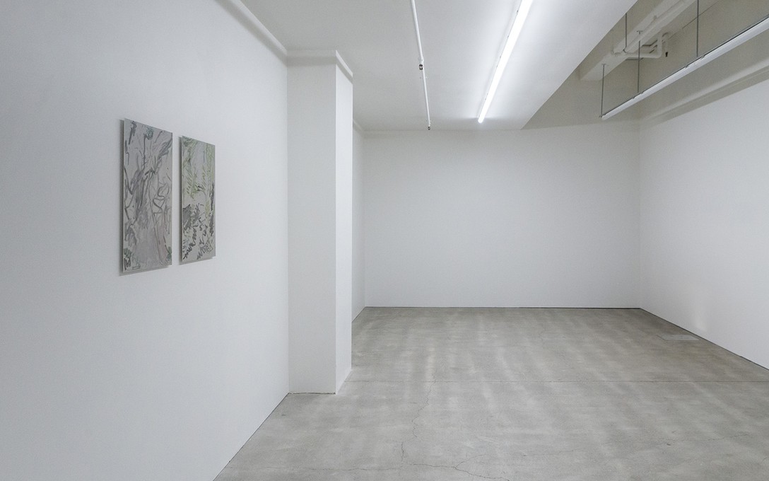Elbow-room in the universe, 2020, installation view. Image courtesy of Cheska Brown.