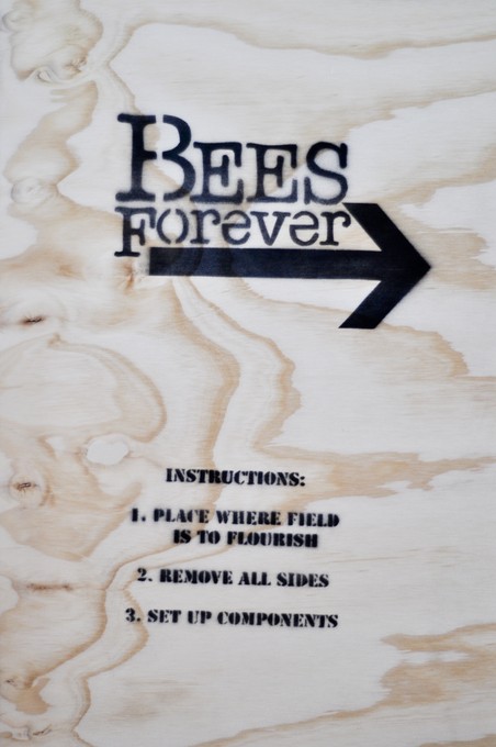 Instructions on how to proceed with implementing your colony of Bees. Image courtesy of Lance Cash.