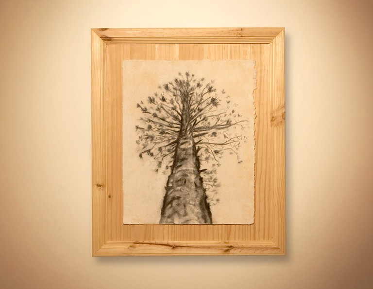 A tree turned into wood, charcoal and paper to represent itself, From the series An Ethnography on Gardening, 2006-2008, In collaboration with Carlos Ortega, Mixed media, All images by Raul Ortega Ayala and Carlos Ortega © Raul Ortega Ayala