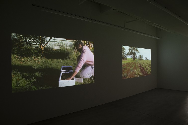 Matavai Taulangau, Pikilau, 2019, HD video and Matavai Taulangau, Polopolo, HD video (installation view). Image courtesy of Shaun Matthews.