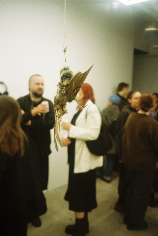 Chapter Three launch. Image courtesy of Abigail Hau and Renati Waaka.