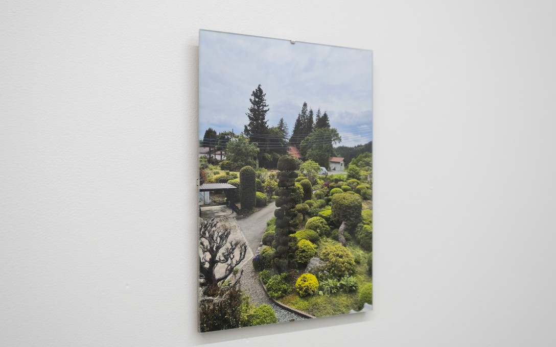 Sena Park, I touch the surface, we draw wild beauty, 2025. Photo by Samson Dell.