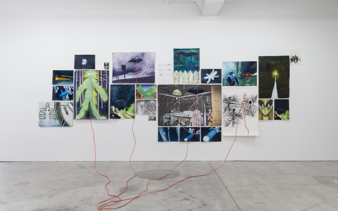 Alexandra McFarlane, Extraordinary Contact, installation view. Image courtesy of Cheska Brown.