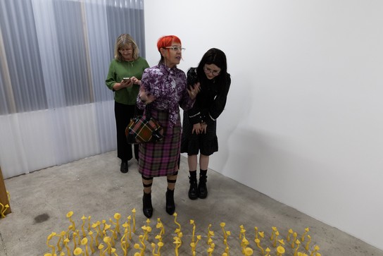 Chapter Five launch. Photo by Renati Waaka.