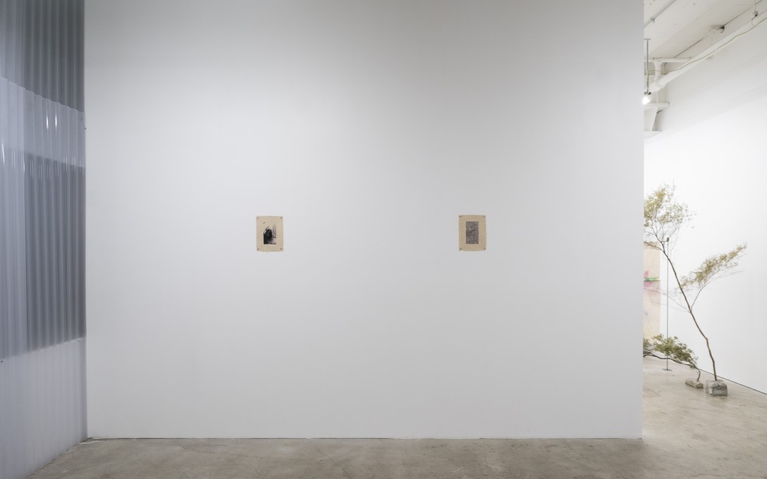 Matt Tini, of forests and concrete, 2025. Photo by Samson Dell.