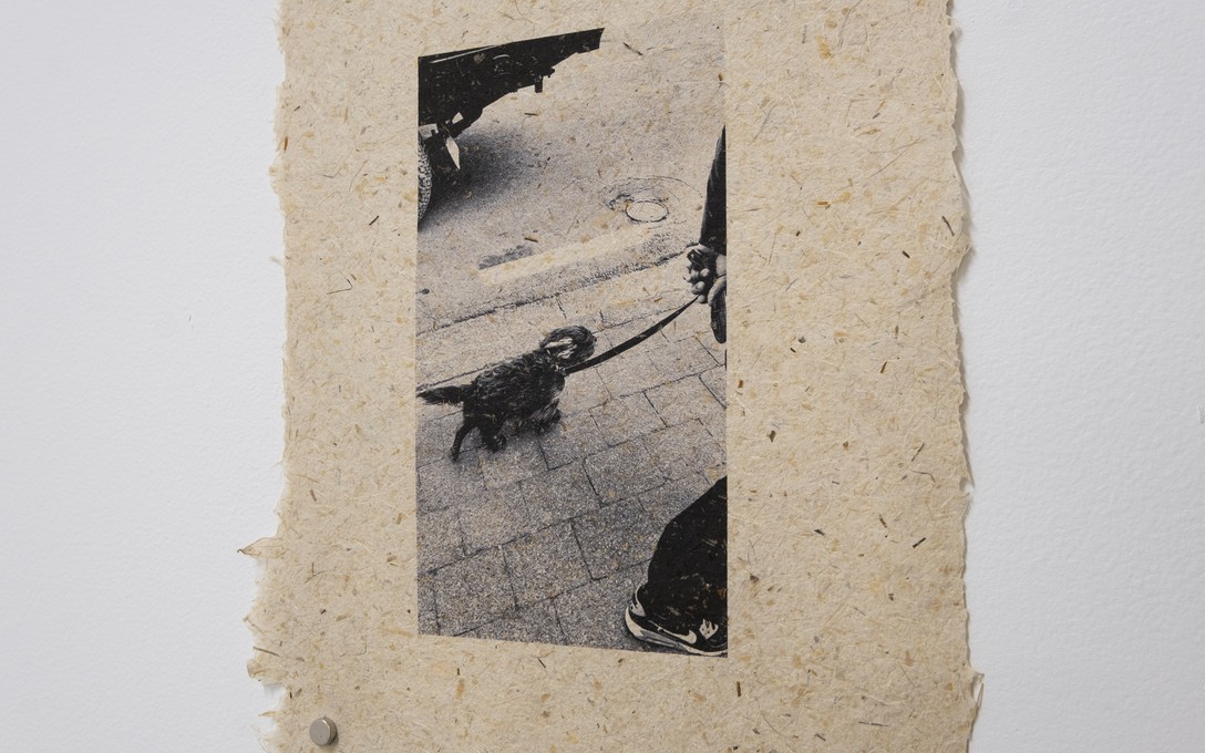 Matt Tini, of forests and concrete, 2025. Photo by Samson Dell.