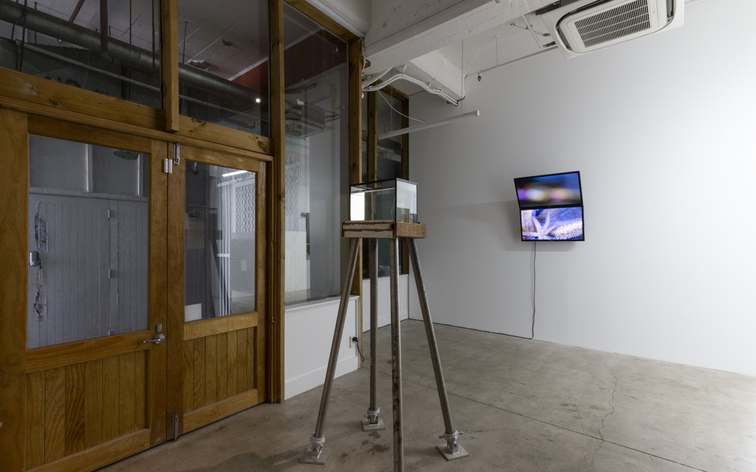 Henrietta Fisher, Race (oracle) & The Seer's Tower II, installation view. Image courtesy of Cheska Brown.