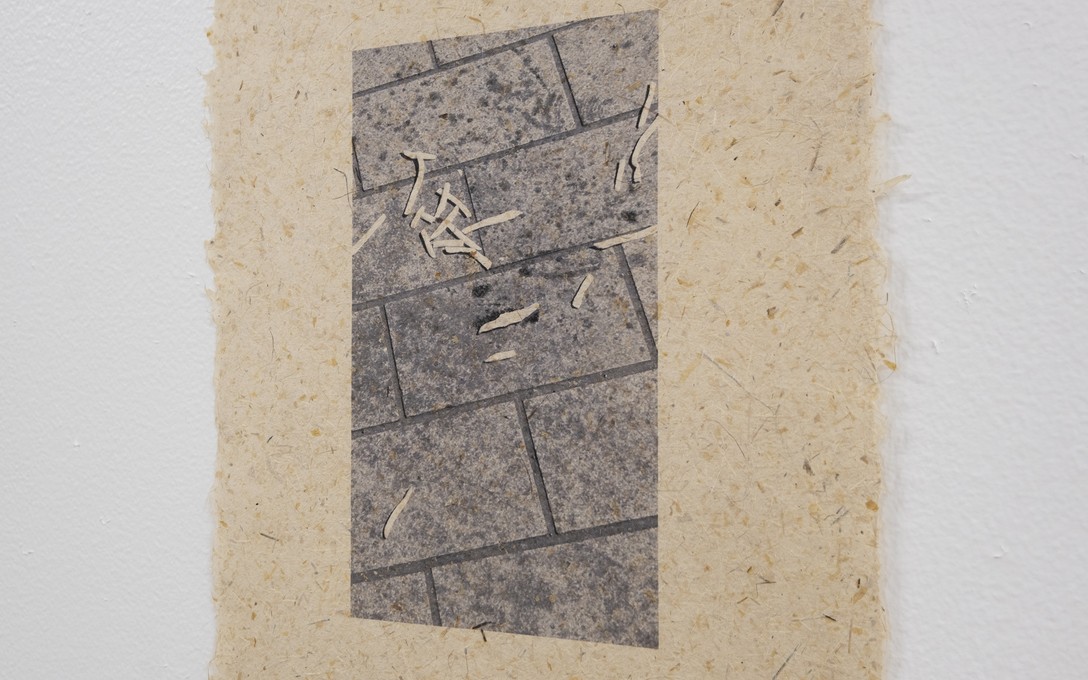 Matt Tini, of forests and concrete, 2025. Photo by Samson Dell.