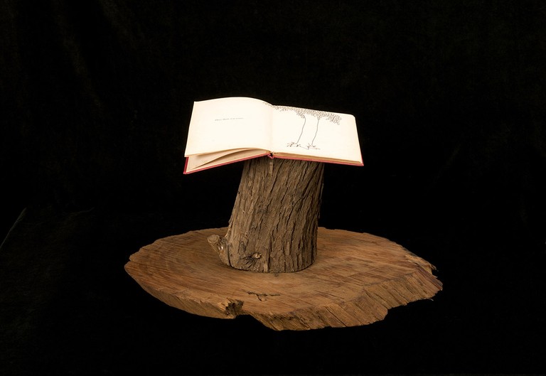 Andrea Gardner, Once There Was a Tree, photograph, dimensions variable, 2014. © Andrea Gardner