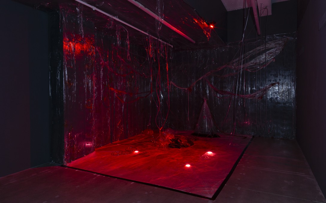 Fetishini, Blood, installation view. Image courtesy of Cheska Brown.  