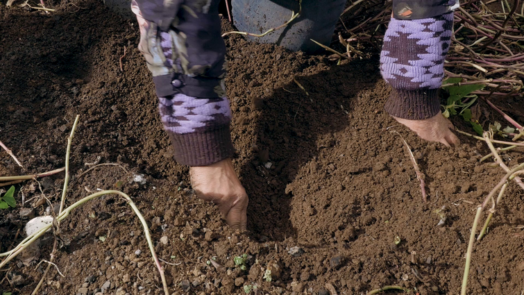 Matavai Taulangau, Api Ko Lotopau, 2019, HD video, 6:12, still. Image courtesy of the artist.