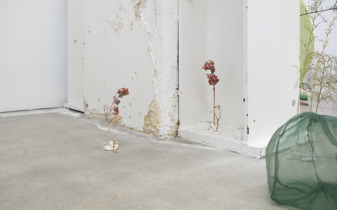 Sena Park, I touch the surface, we draw wild beauty, 2025. Photo by Samson Dell.