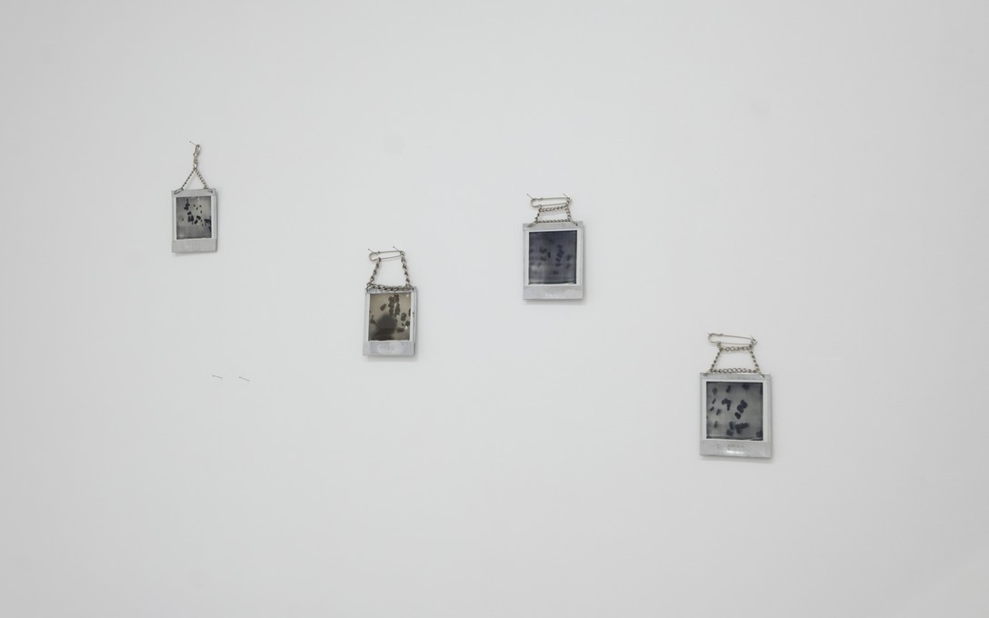 Tessa Russell, 1835, 2024-2025. Installation view. Photo by Samson Dell.