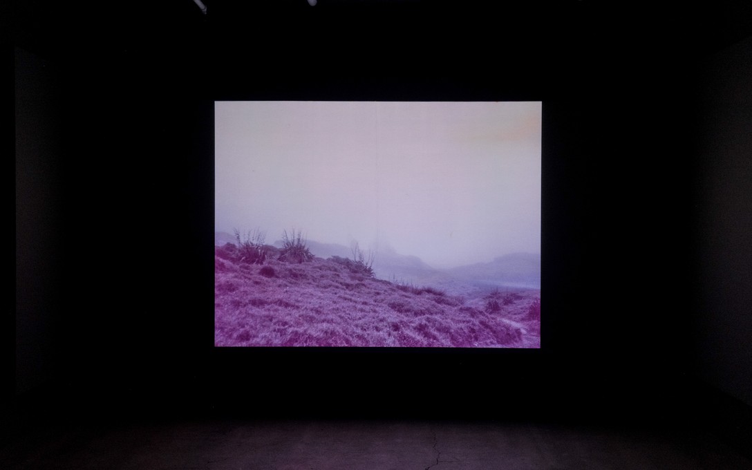 Lily Worrall, moon iron wings, 2026. Photo by Samson Dell.