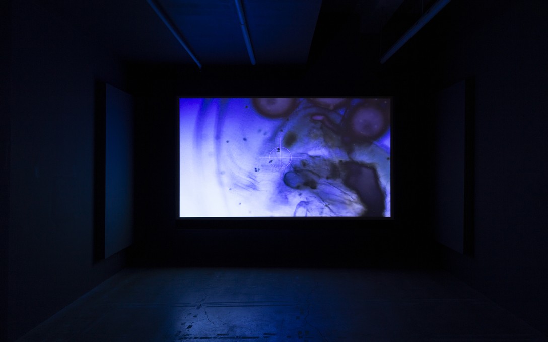 Eugenia Lim, Metabolism, 2K single-channel video, colour, sound, 29:15. Installation view. Courtesy of Cheska Brown.