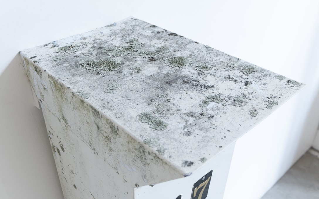 Latamai Katoa, What happens if it's broken? 2026. Photo by Samson Dell.