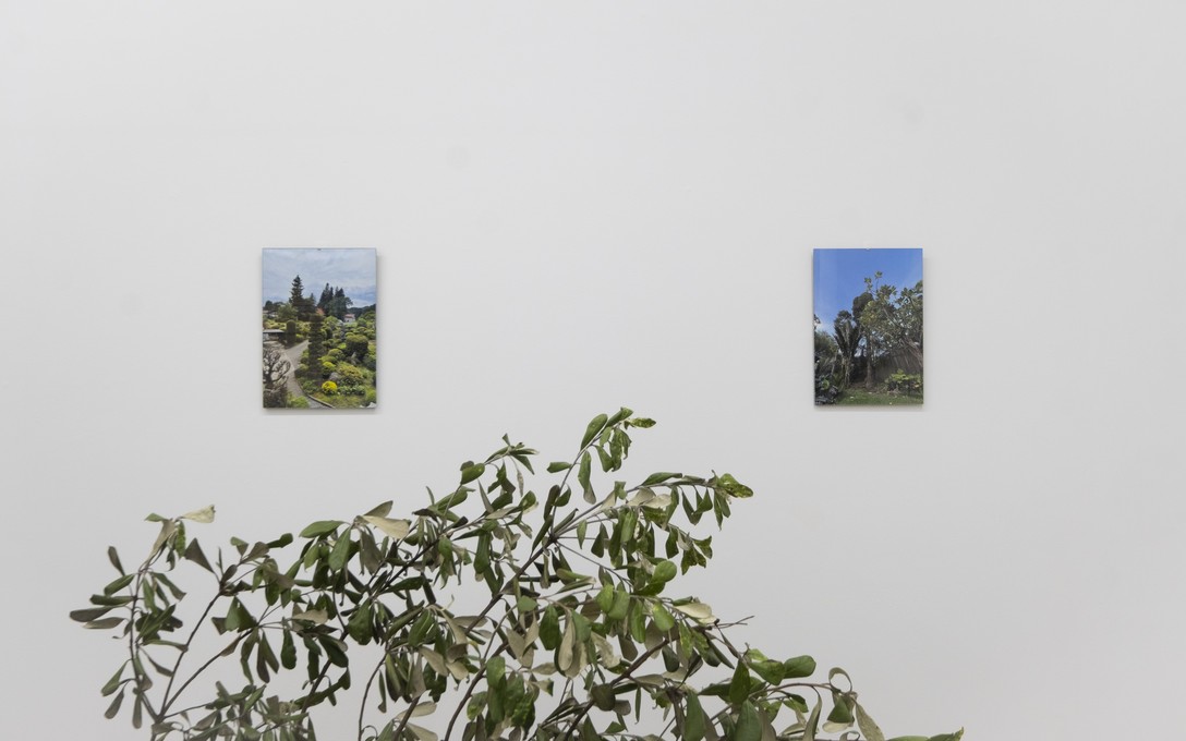 Sena Park, I touch the surface, we draw wild beauty, 2025. Photo by Samson Dell.