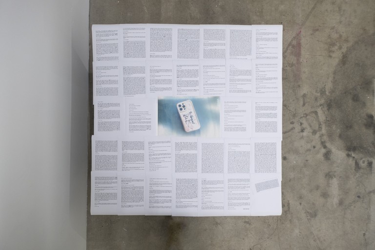 Abigail Aroha Jensen, Slovenian neo-Marxist philosopher, cultural theorist and public intellectual, 2026. Mixed media installation. Photo by Samson Dell.