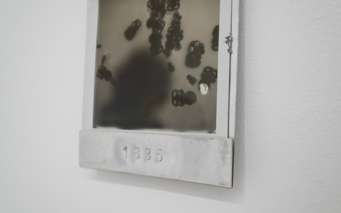 ]Tessa Russell, 1835, 2024-2025. Detail view. Photo by Samson Dell.