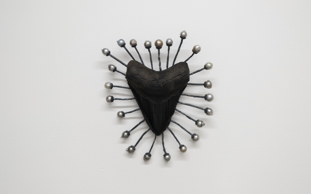 Te Māreikura Whakataka-Brightwell, Sacrum Maris/The Sacred of the Sea, Tahitian baroque pearls, silver, megalodon shark tooth (found in the dark watered Georgia rivers, USA), 2026. Fabrication by Dorthe Kristensen. Photo by Samson Dell.