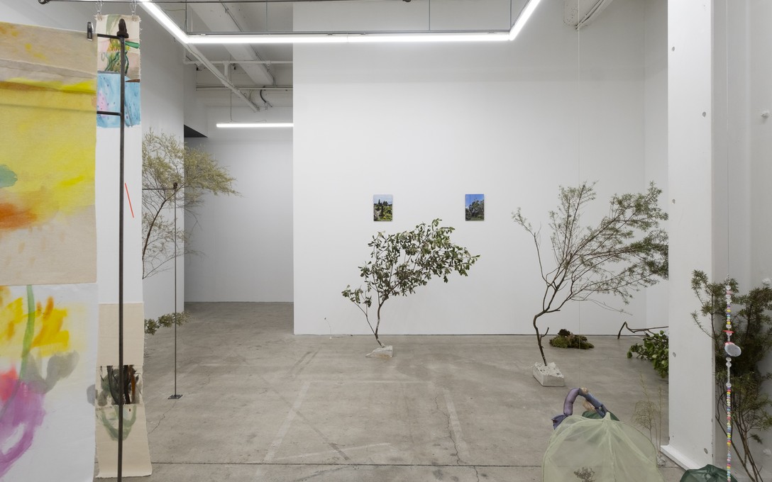 Sena Park, I touch the surface, we draw wild beauty, 2025. Photo by Samson Dell.