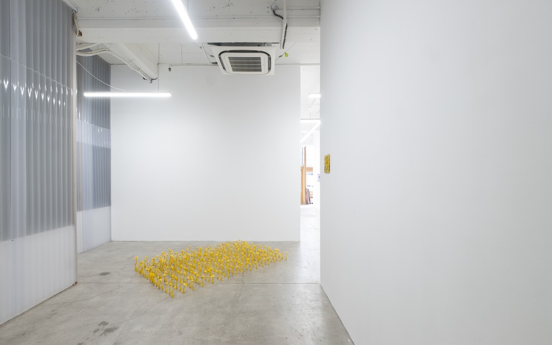 George Turner, Under the Pasture, 2025. Installation view. Photo by Samson Dell.