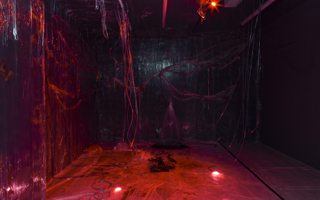 Fetishini, Blood, installation view. Image courtesy of Cheska Brown.  