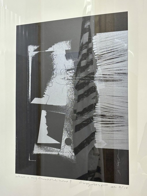 Catherine Griffiths, What is my threshold now? Archive of collected hair [artist's own], steel box, light, shadows cast, numbered paper packets, exposed, 2024, lithograph, black and silver inks, Hahnemühle Copperplate. Image courtesy of Catherine Griffiths.