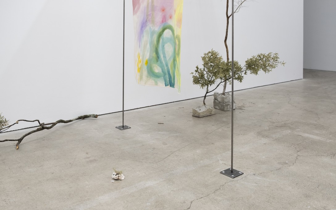 Sena Park, I touch the surface, we draw wild beauty, 2025. Photo by Samson Dell.