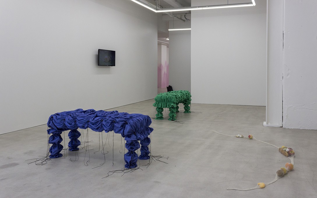 Lucy Meyle, Soft Spot, 2020, installation view. Image courtesy of Cheska Brown.