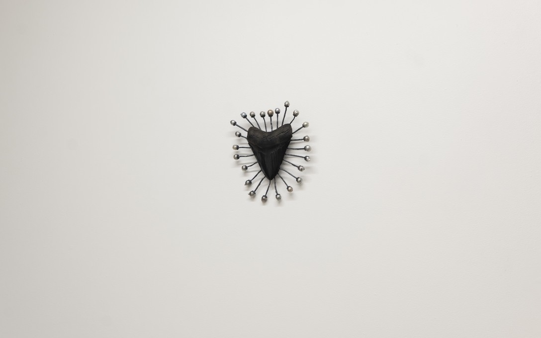 Te Māreikura Whakataka-Brightwell, Sacrum Maris/The Sacred of the Sea, Tahitian baroque pearls, silver, megalodon shark tooth (found in the dark watered Georgia rivers, USA), 2026. Fabrication by Dorthe Kristensen. Photo by Samson Dell.