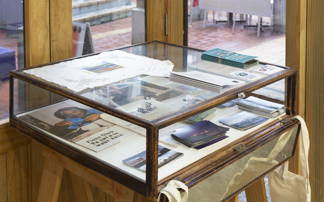 NO FUTURE - The Cost of Extraction. Installation view. Courtesy of Cheska Brown.