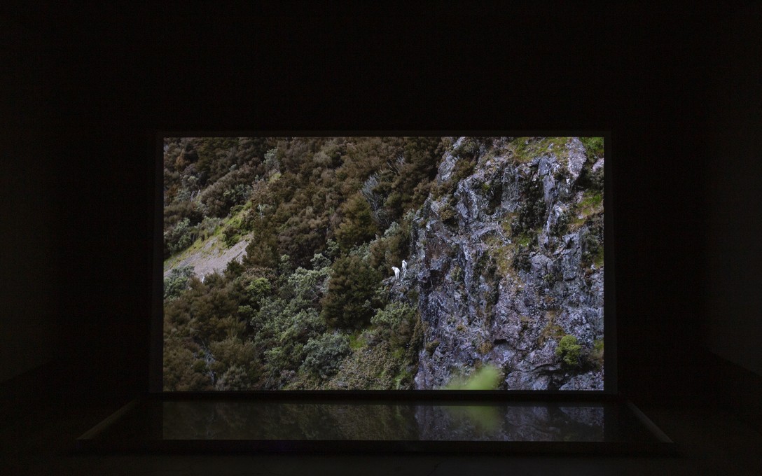 Henrietta Fisher, Funny how I'm always on the head of a longing arrow, 2024, single-channel 4k video, custom aluminium tray, water, installation view. Image courtesy of Cheska Brown.