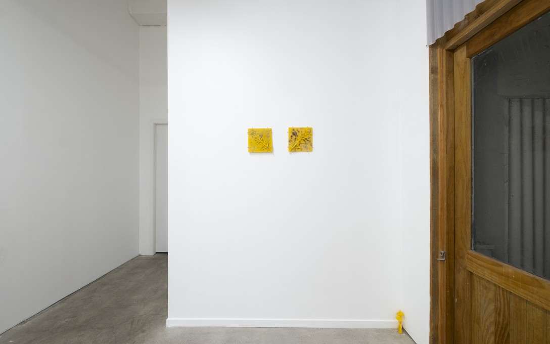 George Turner, Under the Pasture, 2025. Installation view. Photo by Samson Dell.