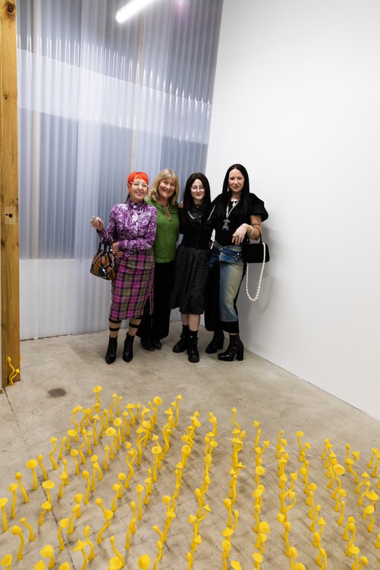 Chapter Five launch. Photo by Renati Waaka.