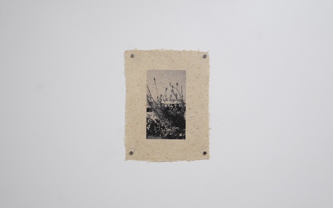 Matt Tini, of forests and concrete, 2025. Photo by Samson Dell.