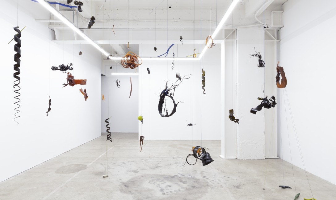 Heidi Brickell, A koru is a trajectory, 2024. Installation view by Cheska Brown.