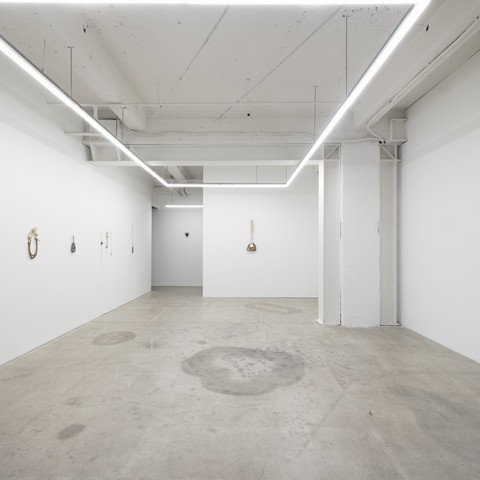 Adorn yourself accordingly, 2026 (installation view). Photo by Samson Dell.