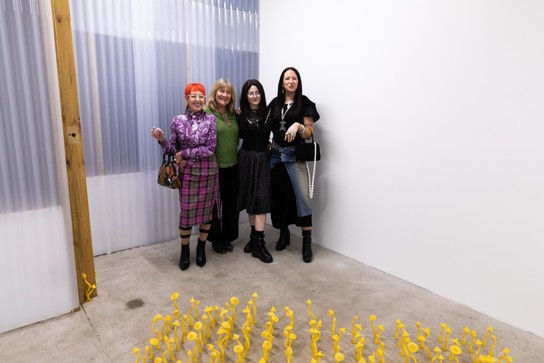 Chapter Five launch. Photo by Renati Waaka.