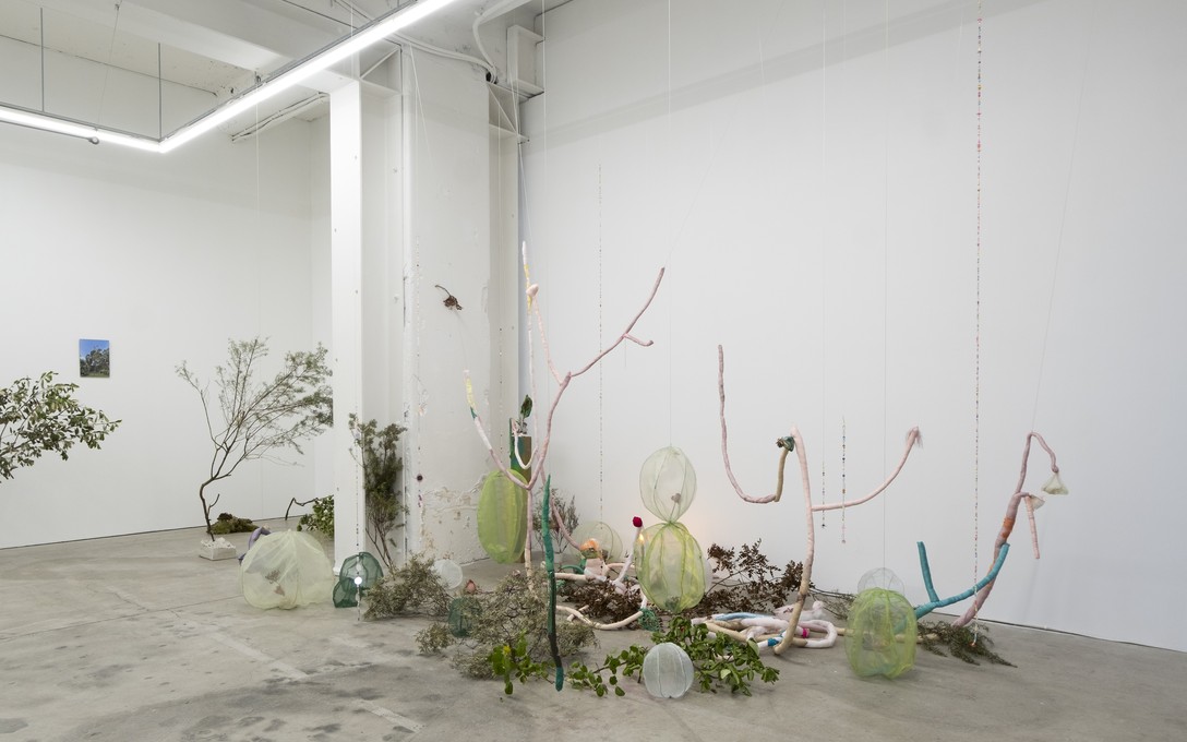 Sena Park, I touch the surface, we draw wild beauty, 2025. Photo by Samson Dell.