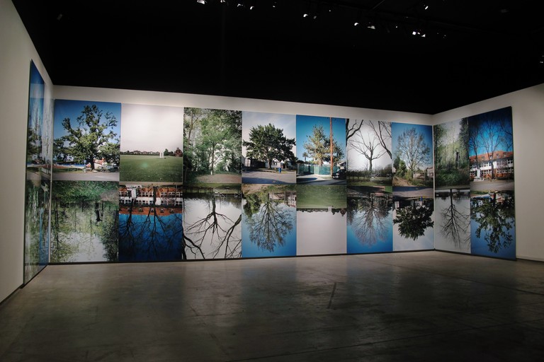 in a forest installation view Australian Centre for Photography 2011-12, © Ann Shelton