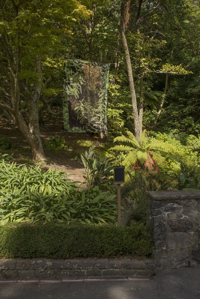Shaun Matthews, 2018, Wellington Botanic Gardens. Image courtesy of the artist.