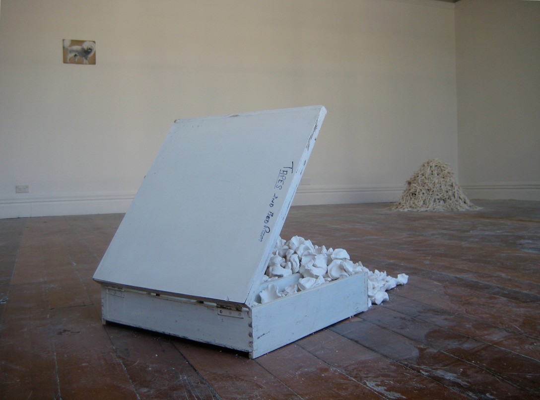 Trenton Garrat, Our house (white indices), 2008. Image courtesy of Bex Pearce.